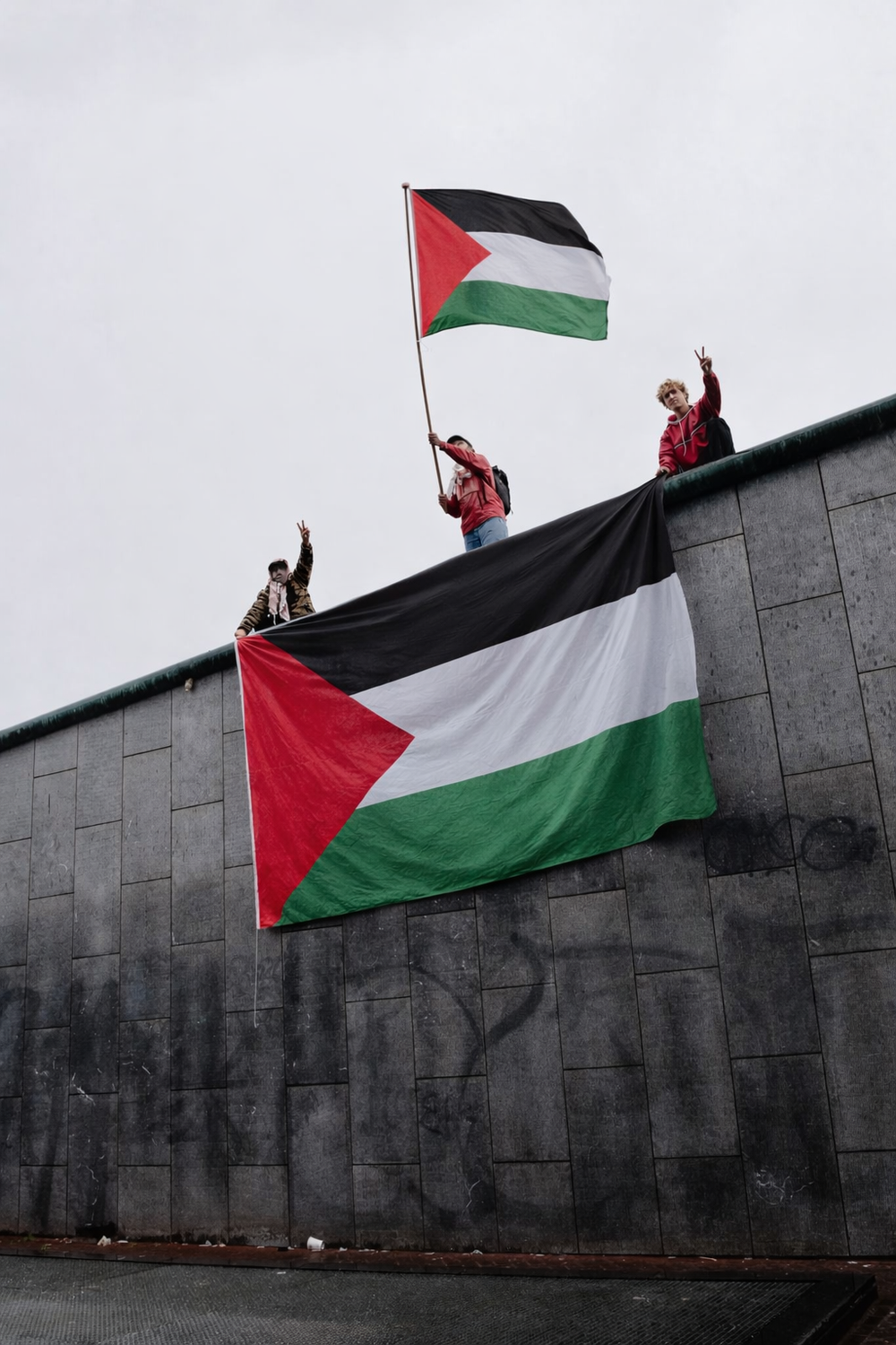 Palestine Flag - Hemptex®