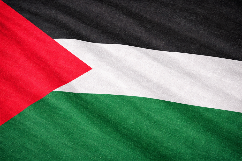 Palestine Flag - Hemptex®